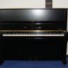 STEINWAY V
