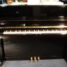 Schimmel 118 T