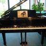 Yamaha C3