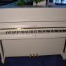 Schimmel 120 cm.