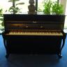 Bechstein 116 cm.
