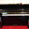 Schimmel 128 cm.