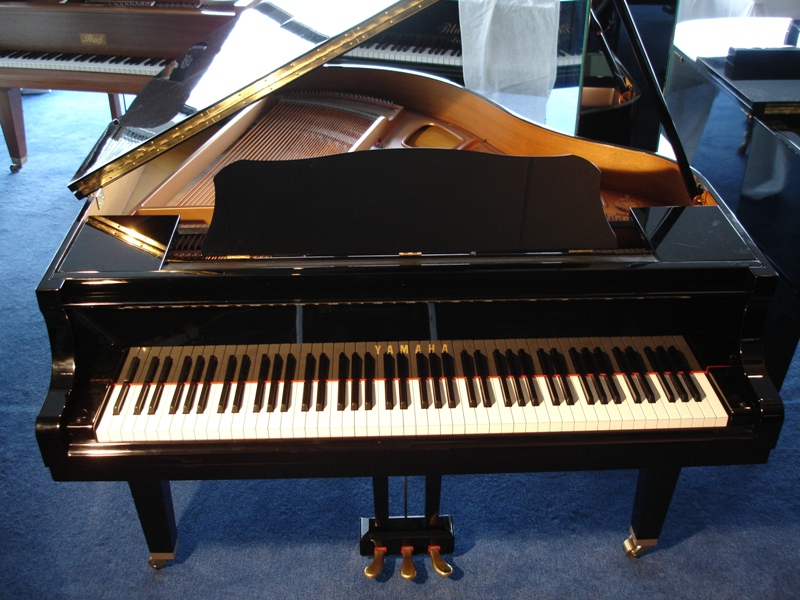 Yamaha 160cm.